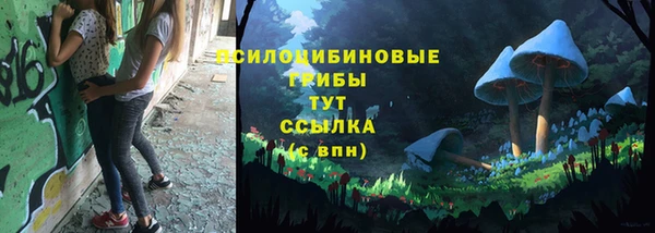 скорость Ладушкин