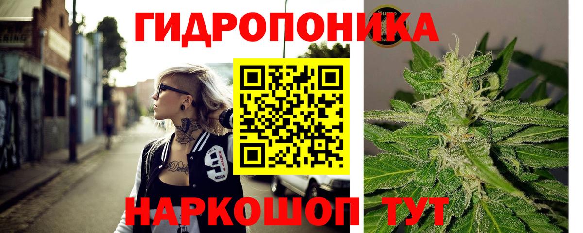 Каннабис ГИДРОПОН  Каннабис Amnesia  Марихуана Amnesia  Вход с VPN  Сосновоборск 